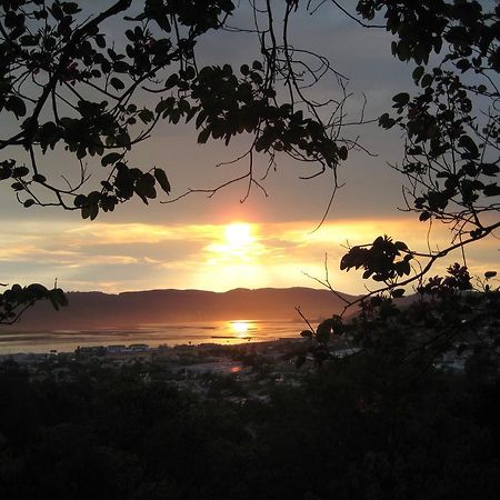 Mount Joy Cottages Knysna Exterior foto